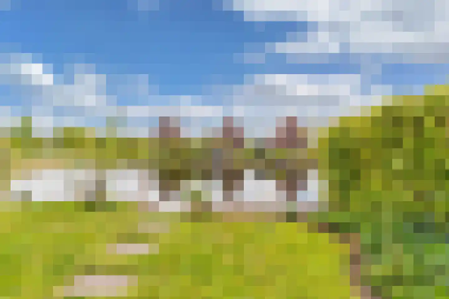 Ljippeblom 26 Boornbergum thumbnail 54