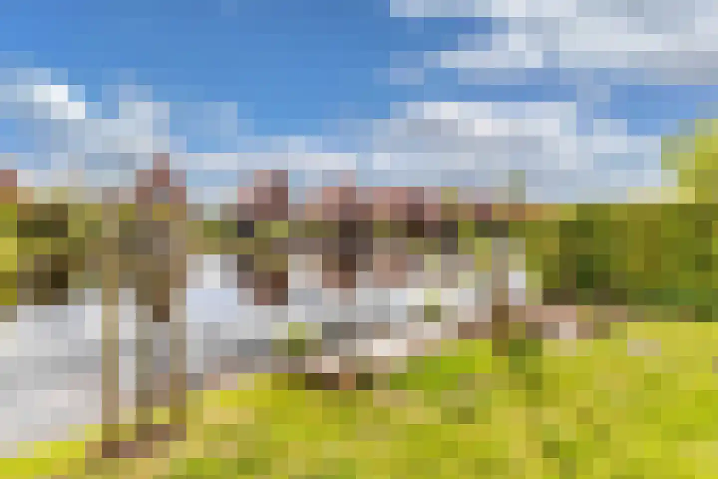 Ljippeblom 26 Boornbergum thumbnail 56