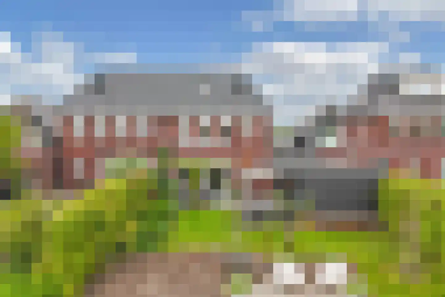 Ljippeblom 26 Boornbergum thumbnail 58