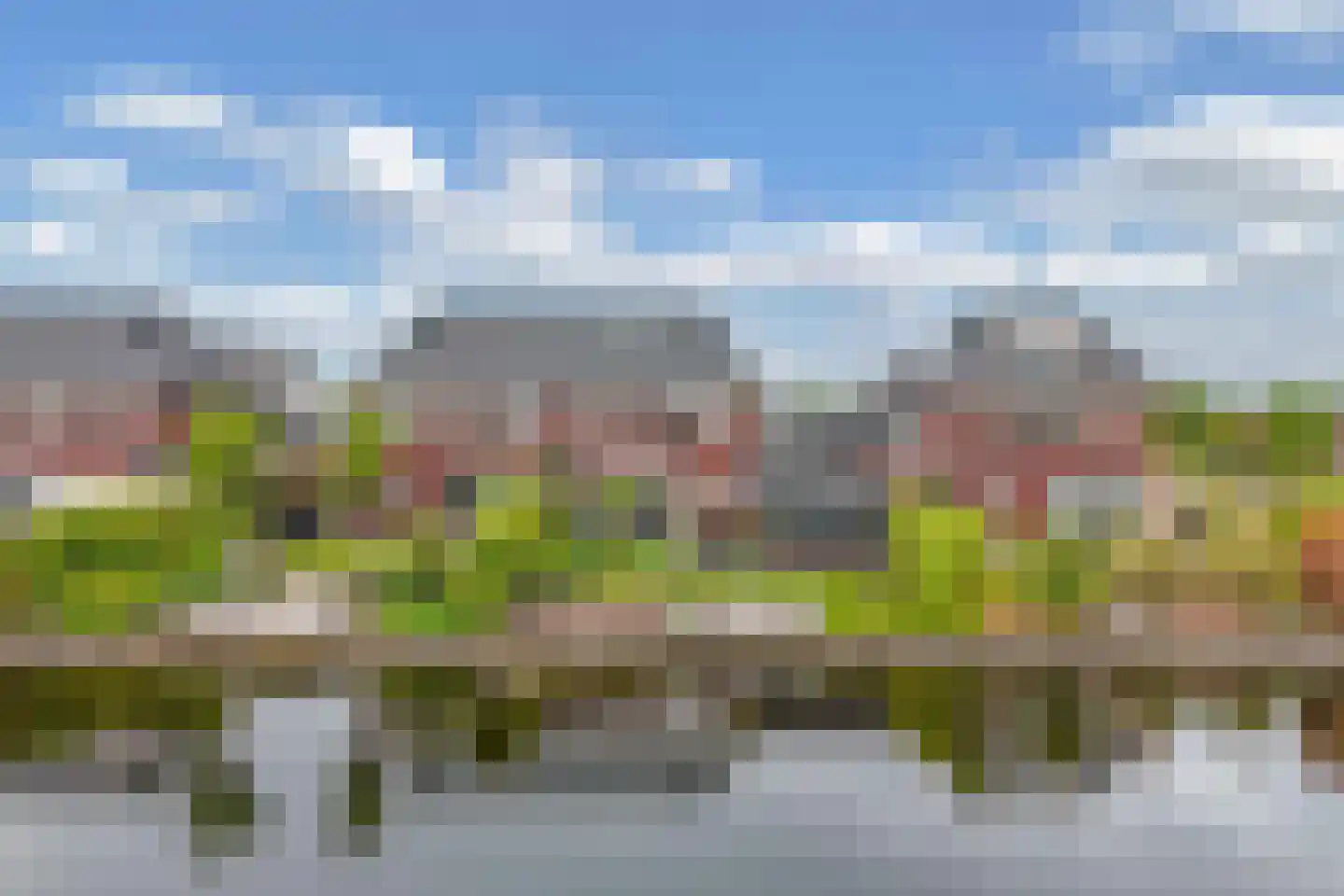Ljippeblom 26 Boornbergum thumbnail 59