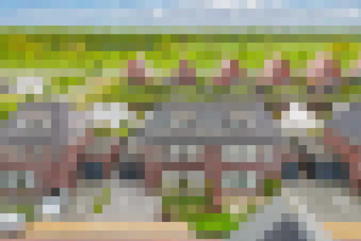 Ljippeblom 26 Boornbergum thumbnail 60