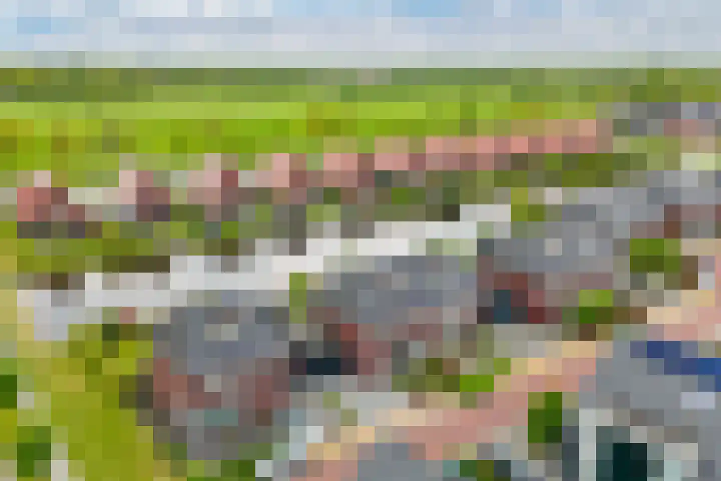 Ljippeblom 26 Boornbergum thumbnail 61