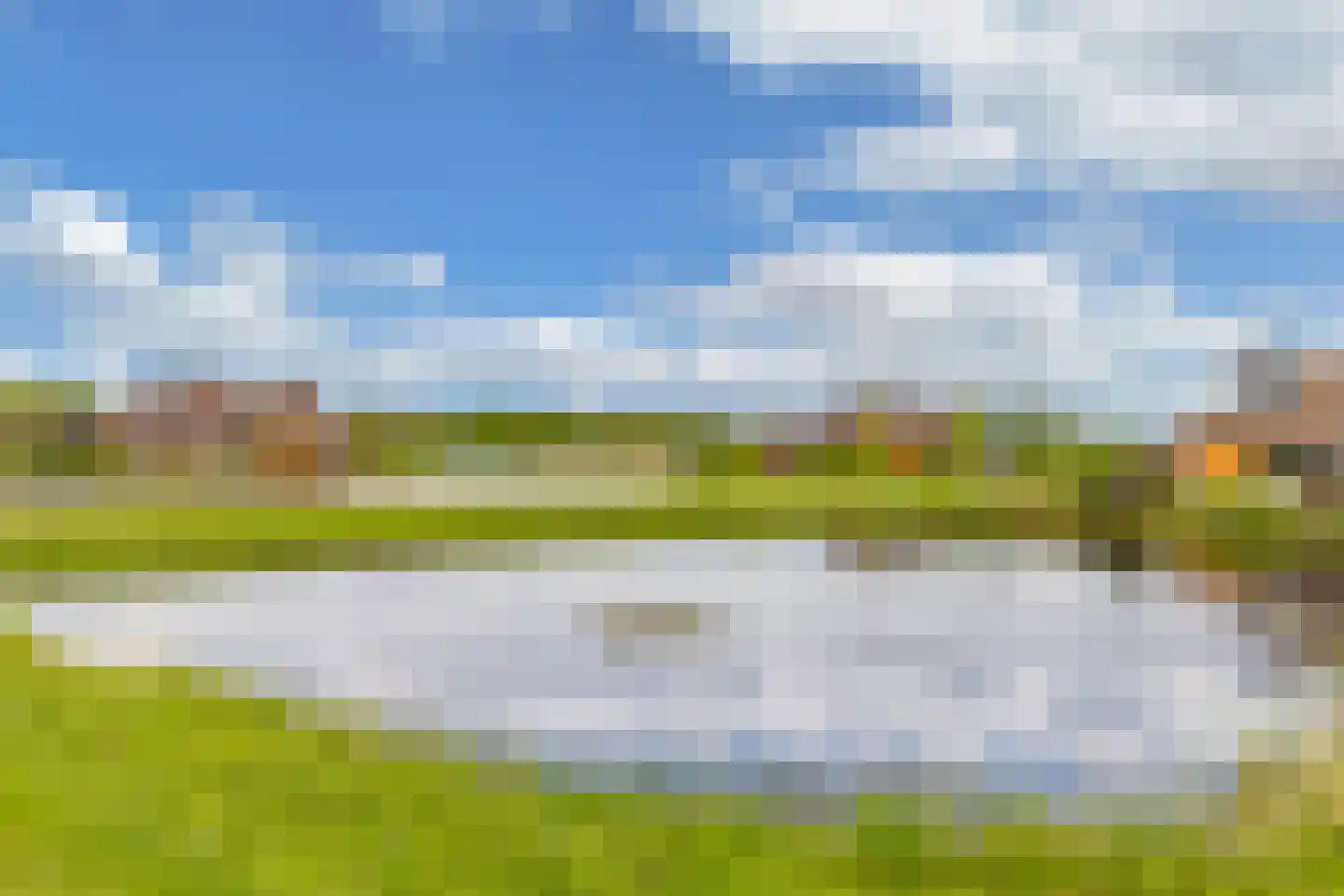 Ljippeblom 26 Boornbergum thumbnail 62
