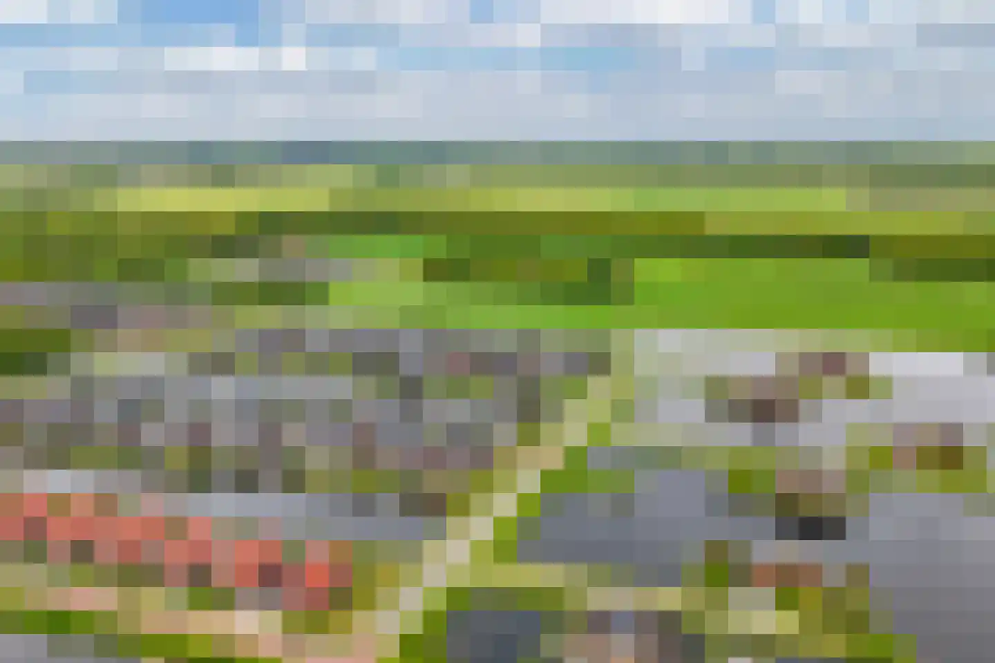 Ljippeblom 26 Boornbergum thumbnail 63