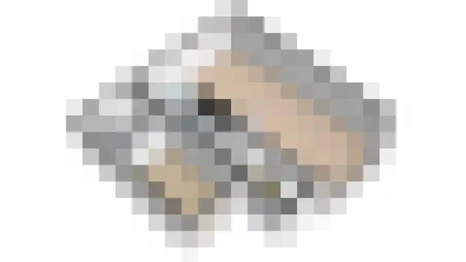 Ljippeblom 26 Boornbergum thumbnail 65