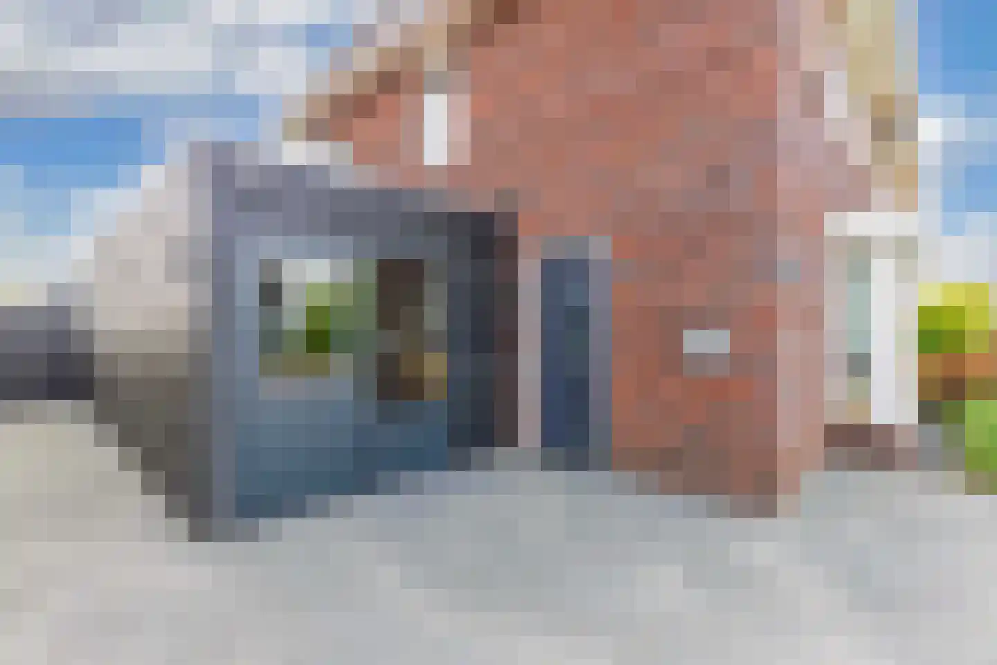 Ljippeblom 26 Boornbergum thumbnail 9