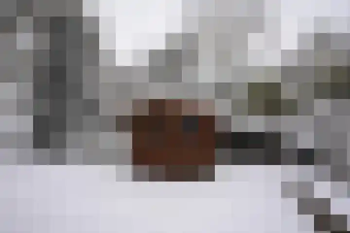 Ljippenstâl 24 Garyp thumbnail 10