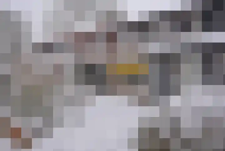 Ljippenstâl 24 Garyp thumbnail 11