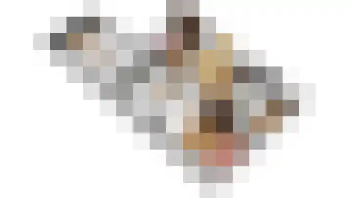 Ljippenstâl 24 Garyp thumbnail 29