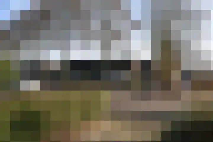 Ljippenstâl 24 Garyp foto 3