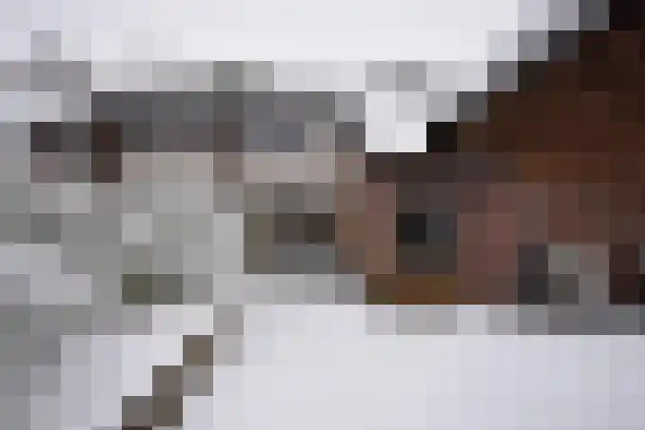 Ljippenstâl 24 Garyp thumbnail 9