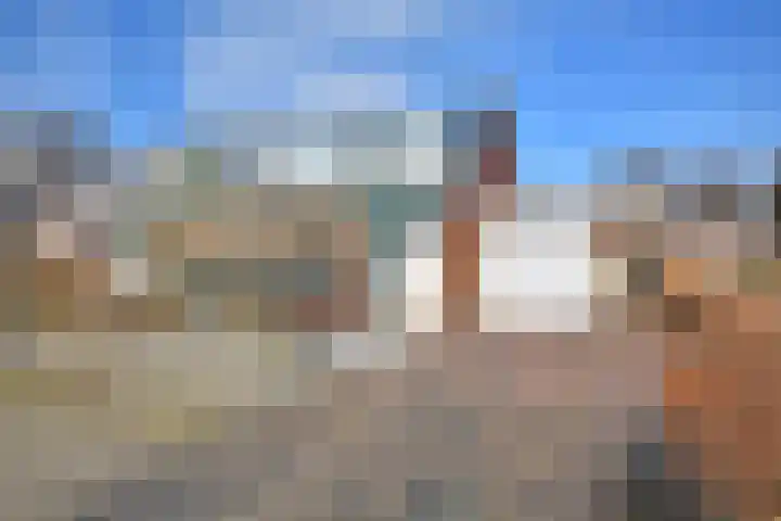 Ljippenstâl 29 Garyp