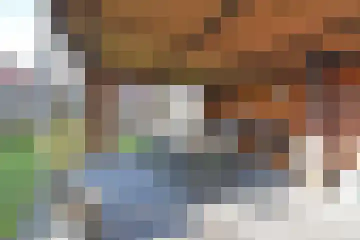 Ljippenstâl 29 Garyp thumbnail 11