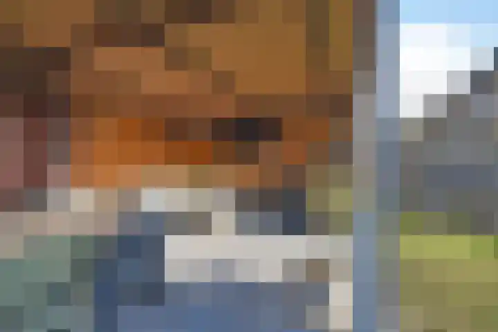 Ljippenstâl 29 Garyp thumbnail 12