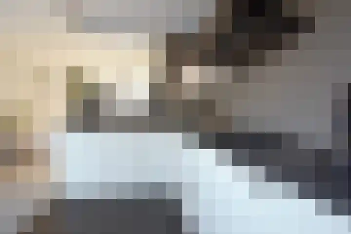 Ljippenstâl 29 Garyp thumbnail 28