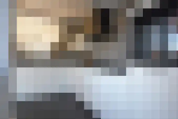 Ljippenstâl 29 Garyp thumbnail 29