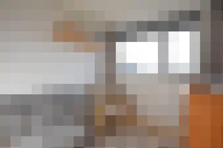 Ljippenstâl 29 Garyp thumbnail 36