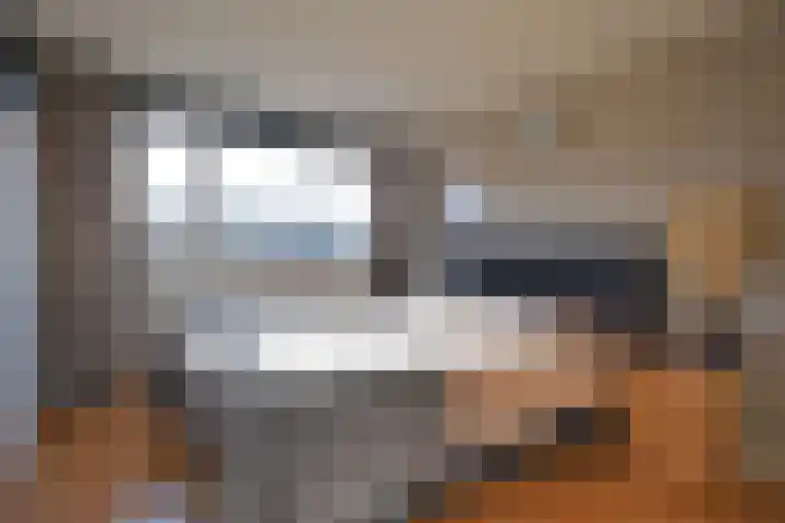 Ljippenstâl 29 Garyp thumbnail 38