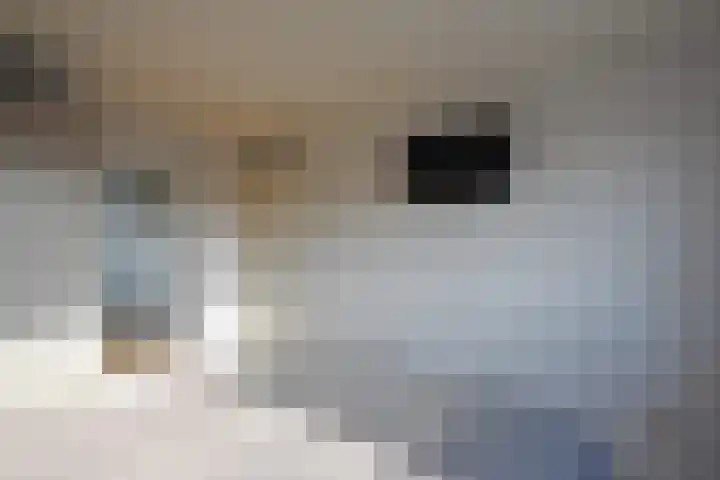 Ljippenstâl 29 Garyp thumbnail 40