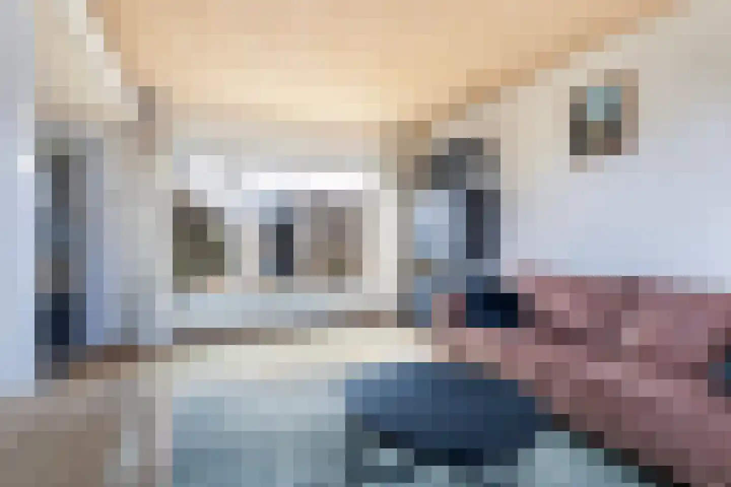 Ljipstrjitte 9 Stiens thumbnail 10