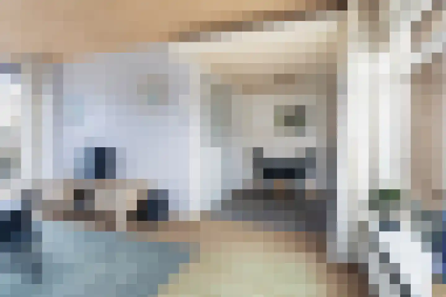 Ljipstrjitte 9 Stiens thumbnail 13