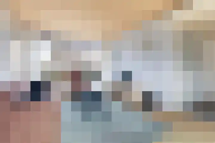 Ljipstrjitte 9 Stiens thumbnail 8