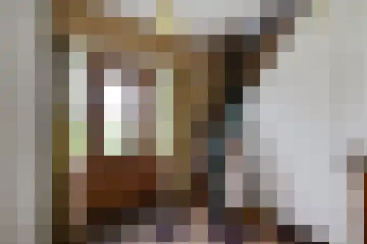Ljouwerterdyk 69 Akkrum thumbnail 11