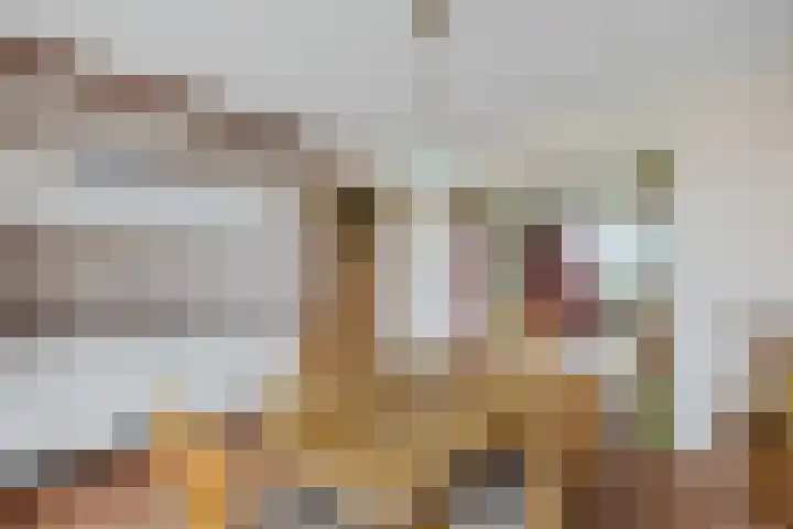 Ljouwerterdyk 69 Akkrum thumbnail 12