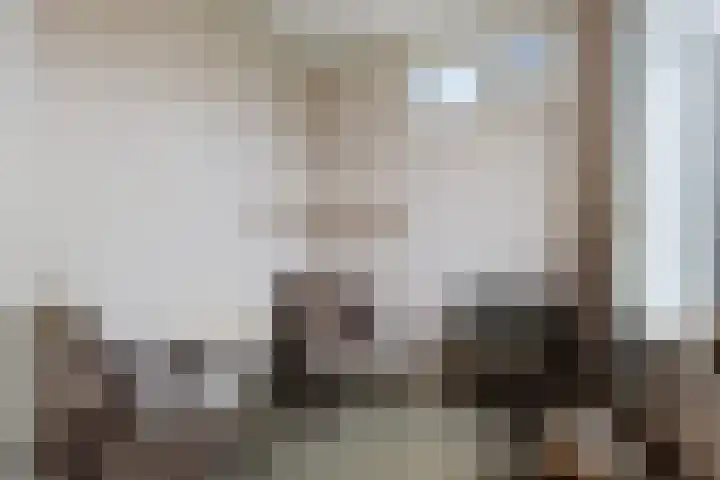 Ljouwerterdyk 69 Akkrum thumbnail 15