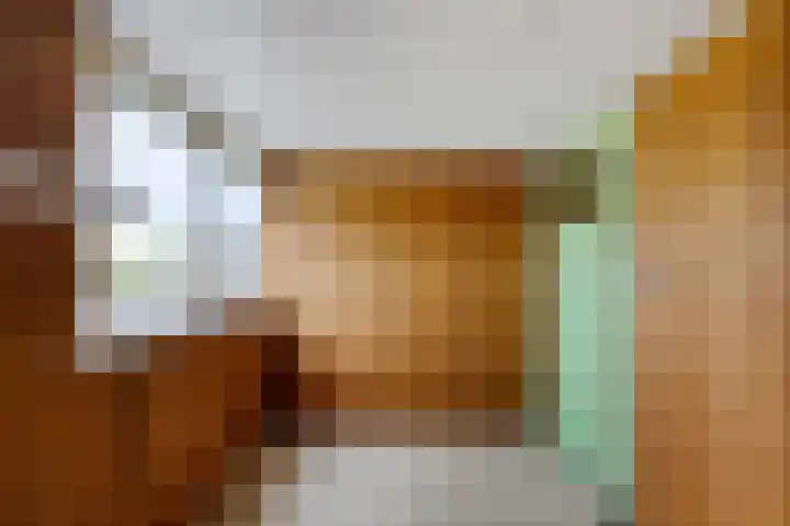 Ljouwerterdyk 69 Akkrum thumbnail 17