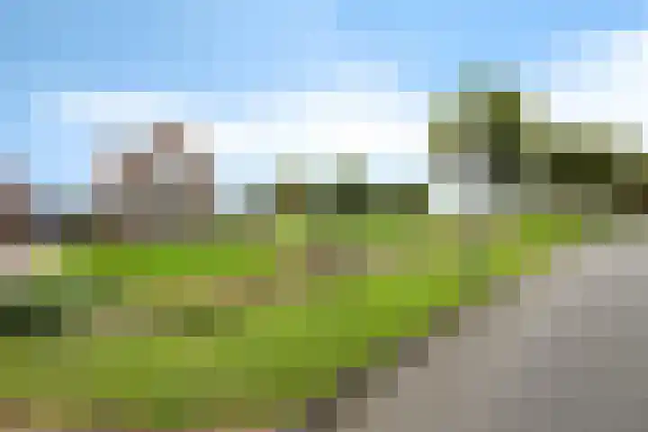 Ljouwerterdyk 69 Akkrum foto 2