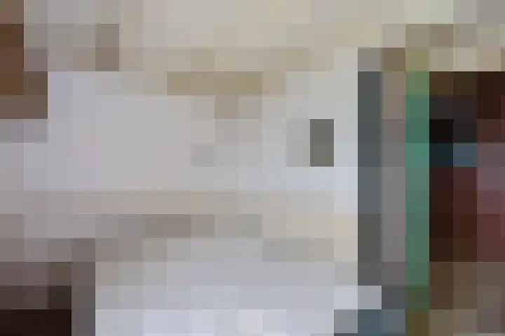 Ljouwerterdyk 69 Akkrum thumbnail 20