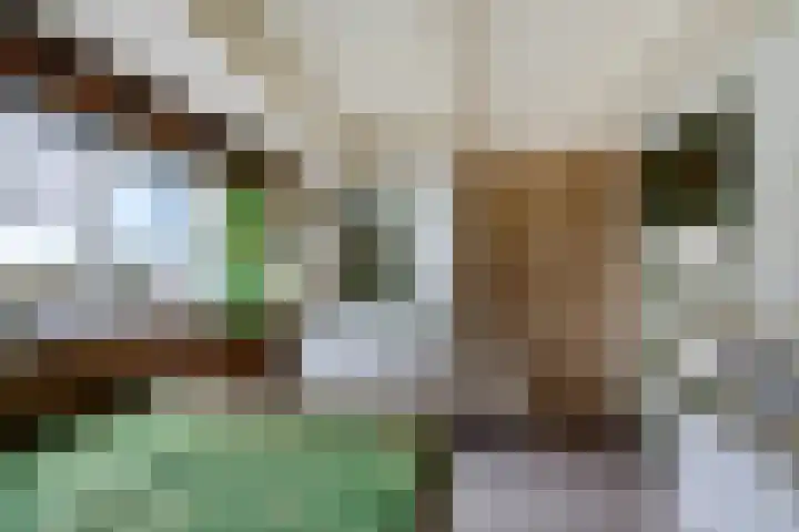 Ljouwerterdyk 69 Akkrum thumbnail 23