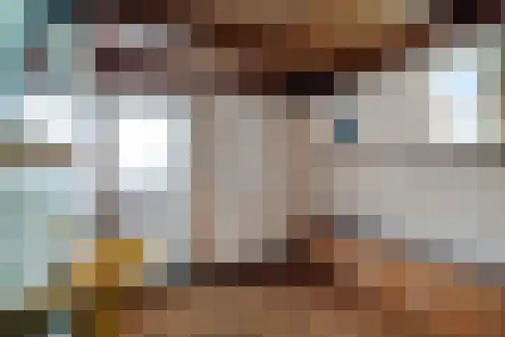 Ljouwerterdyk 69 Akkrum thumbnail 24