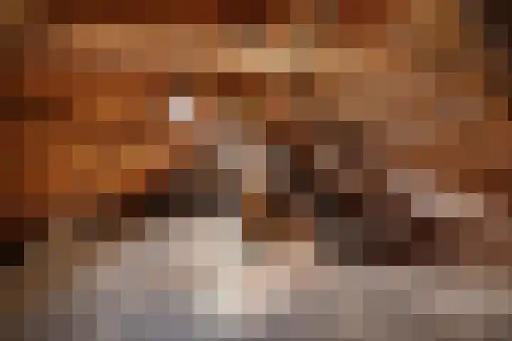 Ljouwerterdyk 69 Akkrum thumbnail 26