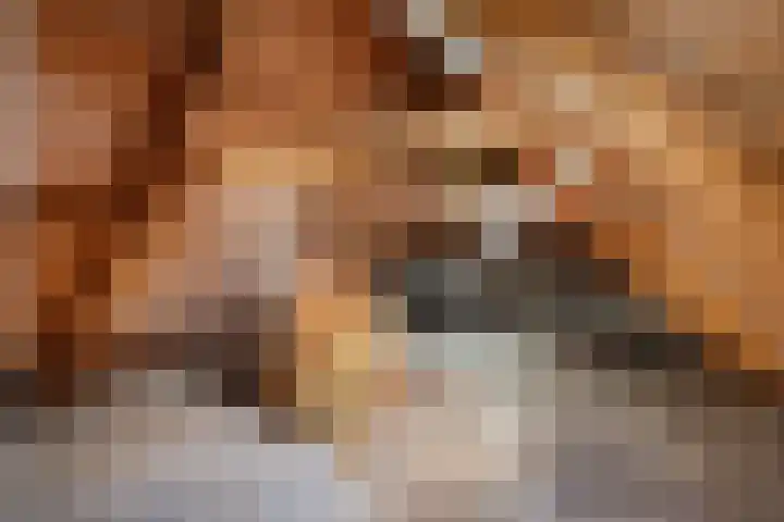 Ljouwerterdyk 69 Akkrum thumbnail 27