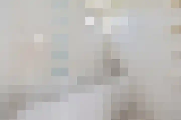 Ljouwerterdyk 69 Akkrum thumbnail 29