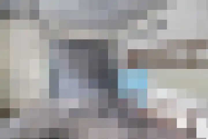 Ljouwerterdyk 69 Akkrum thumbnail 31