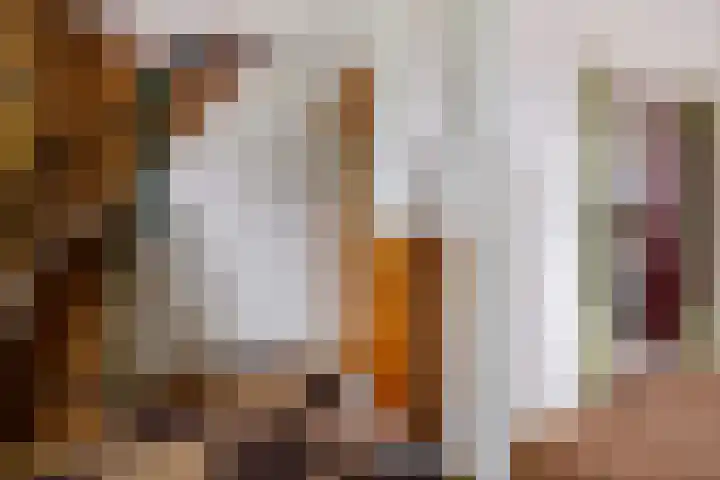 Ljouwerterdyk 69 Akkrum thumbnail 33