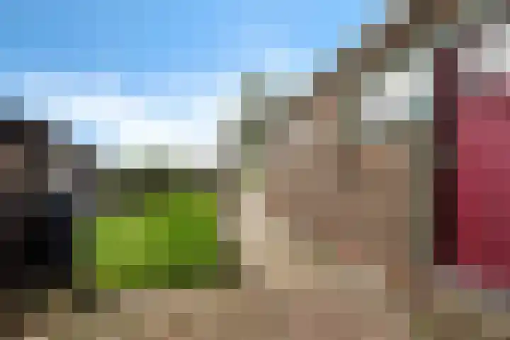 Ljouwerterdyk 69 Akkrum thumbnail 35