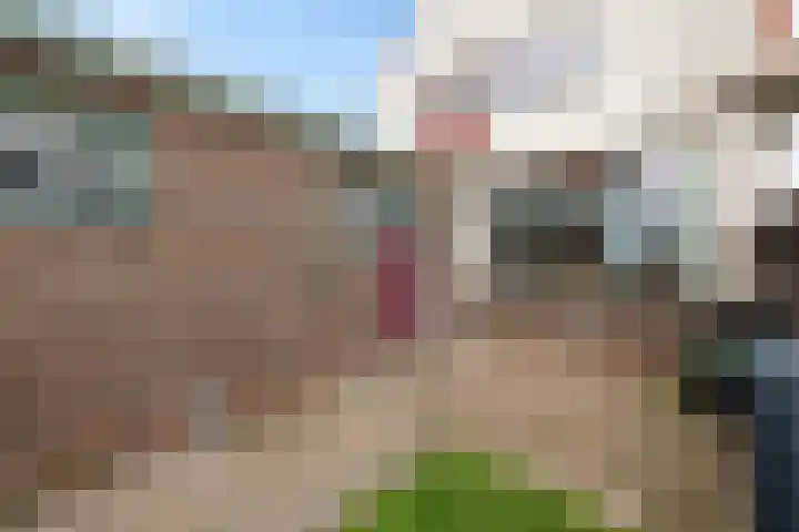 Ljouwerterdyk 69 Akkrum thumbnail 38
