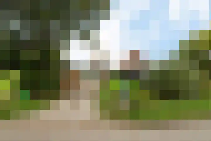 Ljouwerterdyk 69 Akkrum thumbnail 39