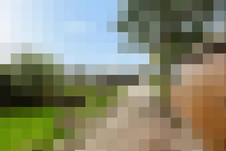Ljouwerterdyk 69 Akkrum thumbnail 40
