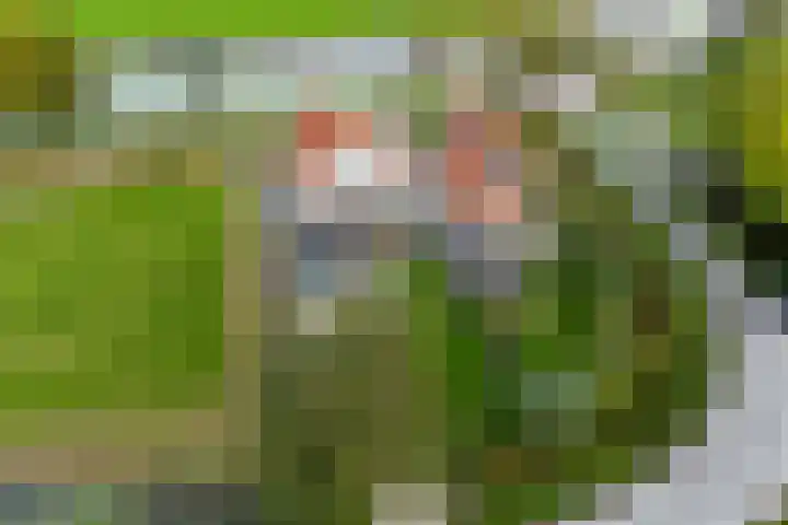 Ljouwerterdyk 69 Akkrum thumbnail 42