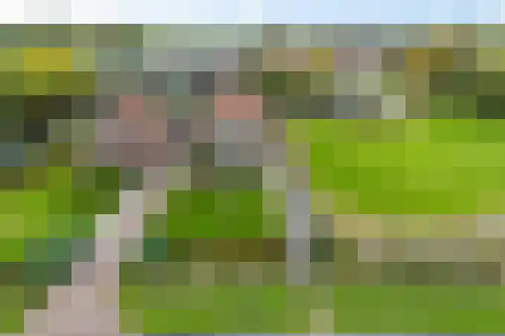 Ljouwerterdyk 69 Akkrum thumbnail 43