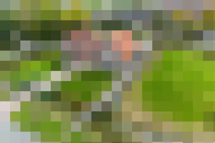 Ljouwerterdyk 69 Akkrum thumbnail 44