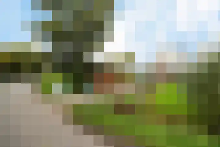 Ljouwerterdyk 69 Akkrum thumbnail 6