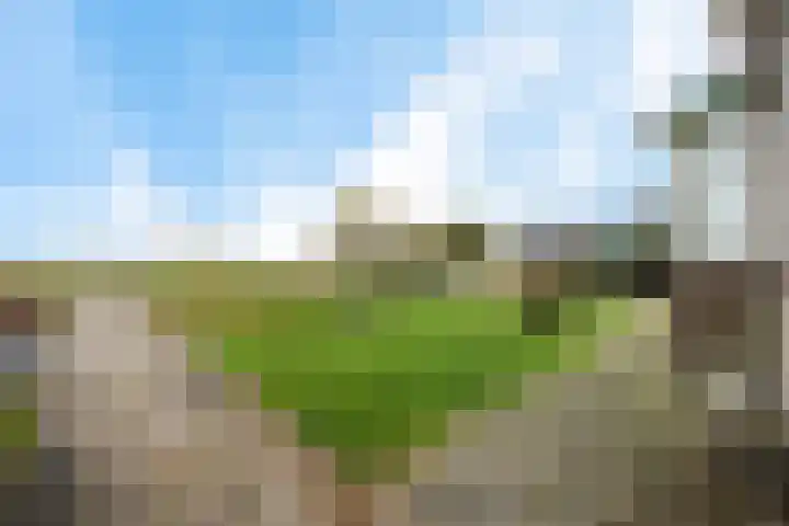 Ljouwerterdyk 69 Akkrum thumbnail 7
