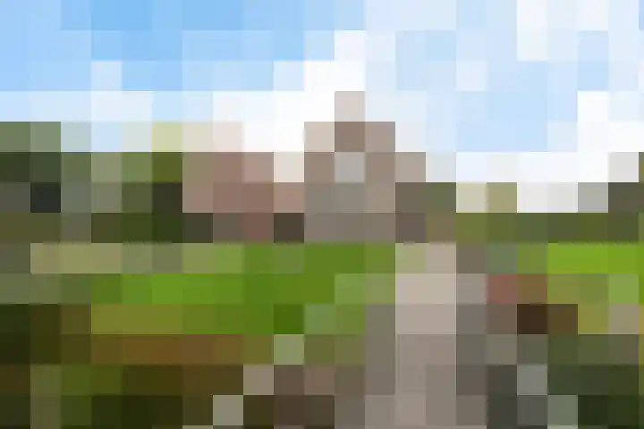 Ljouwerterdyk 69 Akkrum thumbnail 8