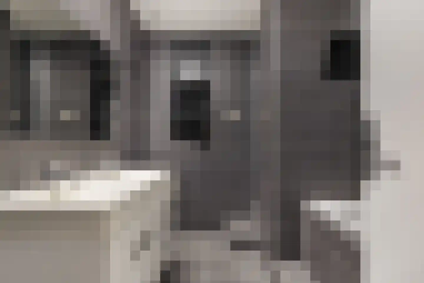 Ljouwerterdyk 9 Akkrum thumbnail 10